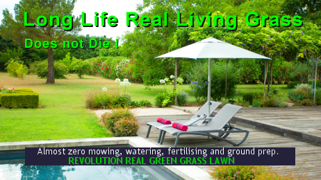 Real Grass Lawns, Long Life Grass Lawns, Grass Lawns in Spain