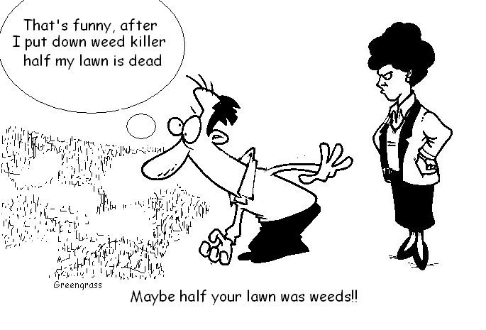 lawn weed killers. selective weed killers. lawn herbicide. weed killers for lawns.